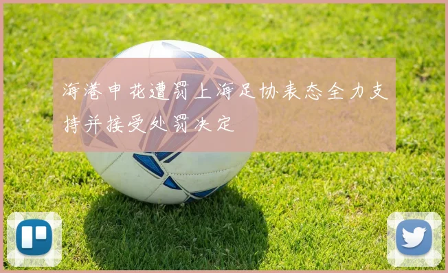 海港申花遭罚上海足协表态全力支持并接受处罚决定