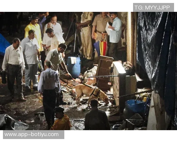 文班谈ICE枪击事件感受：作为外国人在美国生活的恐惧与不安